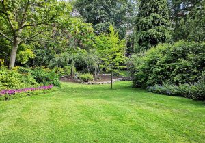 Optimiser l'expérience du jardin à Pars-les-Chavanges